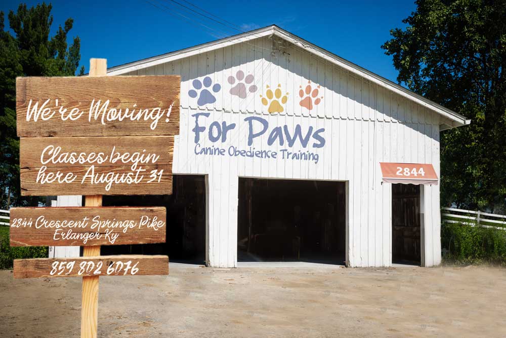 For Paws | Canine obedience Training and Pet Sitting