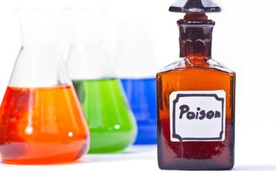Common Pet Poisons: Keeping Your Furry Friends Safe