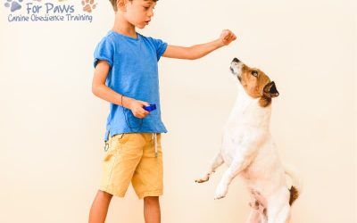 What Positive Reinforcement Techniques Does For Paws Canine Obedience Training Use to Train Dogs in Northern Kentucky?