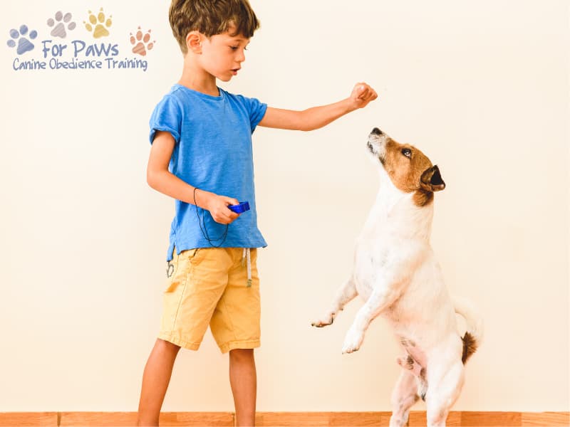 What Positive Reinforcement Techniques Does For Paws Canine Obedience Training Use to Train Dogs